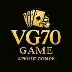 VG70 Game Logo