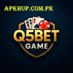 Q5 bet Game Logo