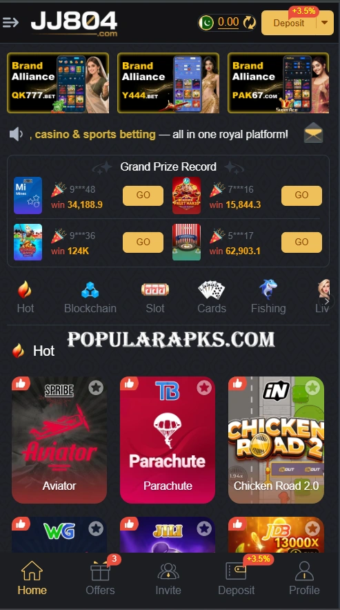 JJ804 Game Interface